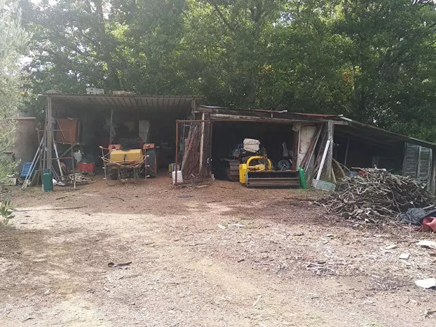 Immagine 4 di Terreno residenziale in vendita  a Civitella Paganico