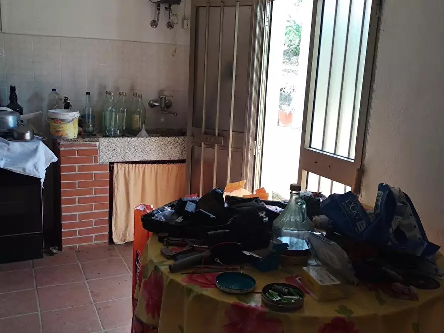 Immagine 6 di Terreno residenziale in vendita  a Civitella Paganico