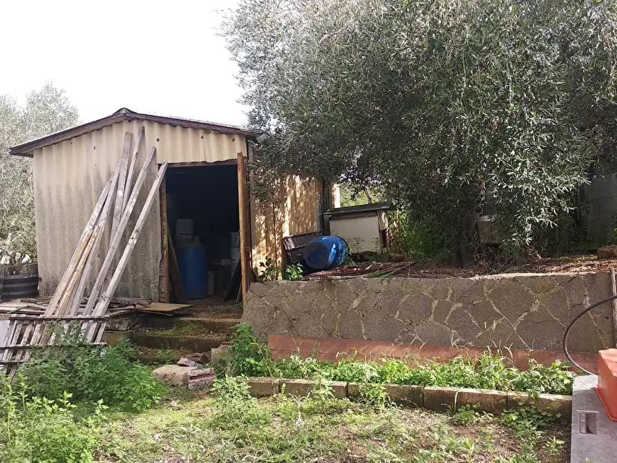 Immagine 11 di Terreno residenziale in vendita  a Civitella Paganico