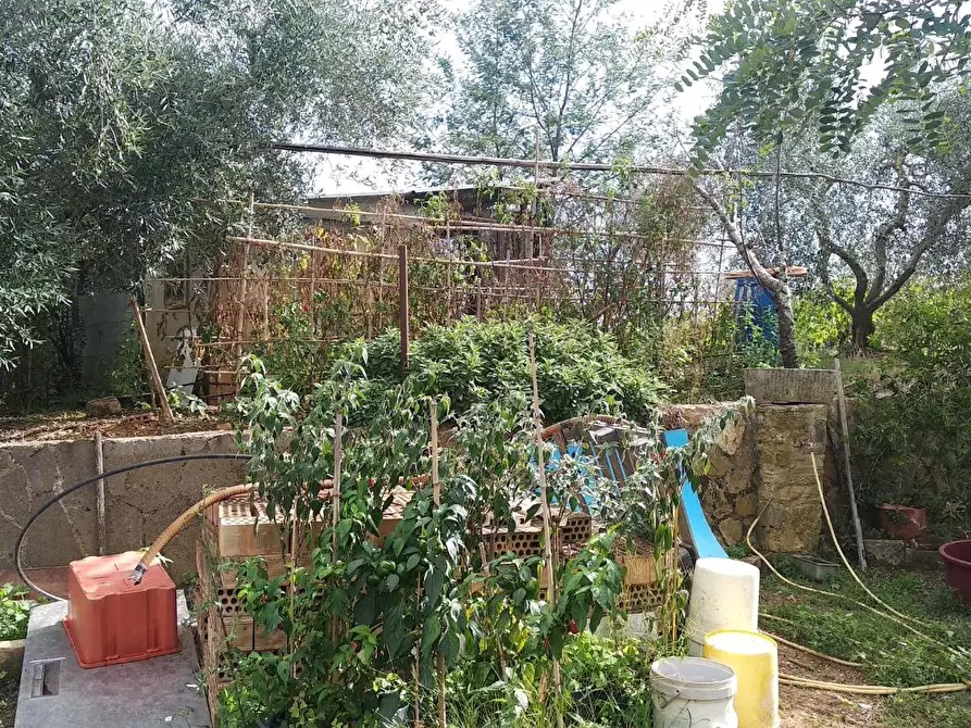 Immagine 10 di Terreno residenziale in vendita  a Civitella Paganico