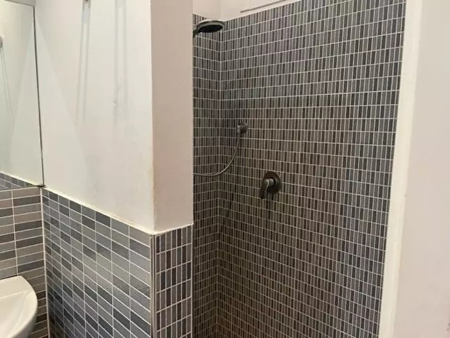 Immagine 9 di Appartamento in affitto  a Siena