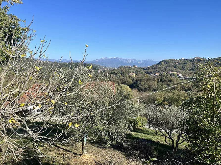 Immagine 9 di Casa semindipendente in vendita  a Riccò Del Golfo Di Spezia
