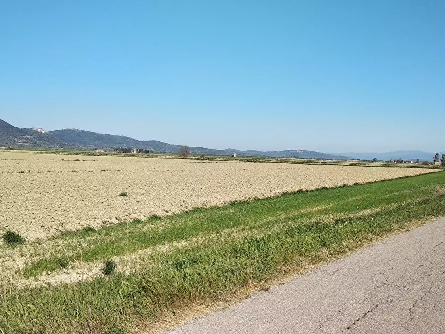 Immagine 9 di Terreno residenziale in vendita  a Grosseto