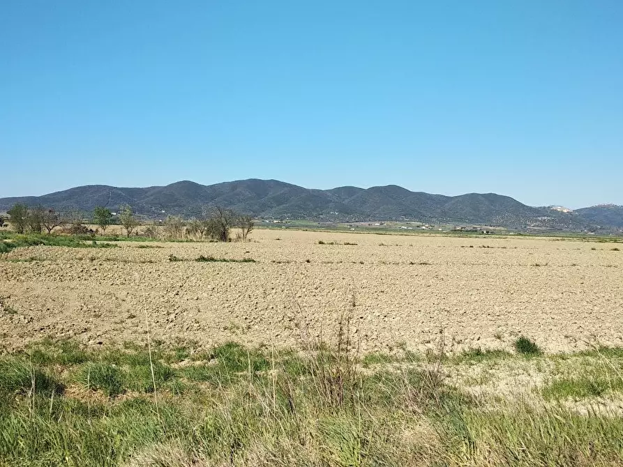 Immagine 3 di Terreno residenziale in vendita  a Grosseto