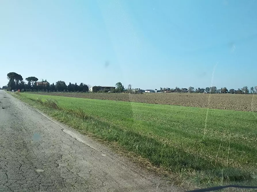 Immagine 7 di Terreno residenziale in vendita  a Grosseto
