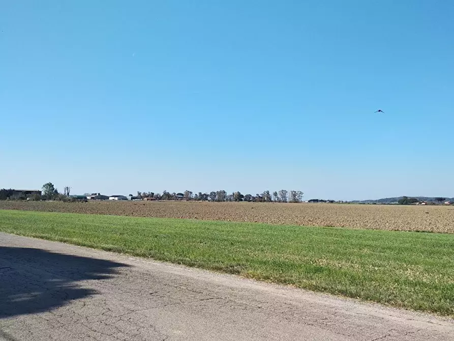 Immagine 8 di Terreno residenziale in vendita  a Grosseto