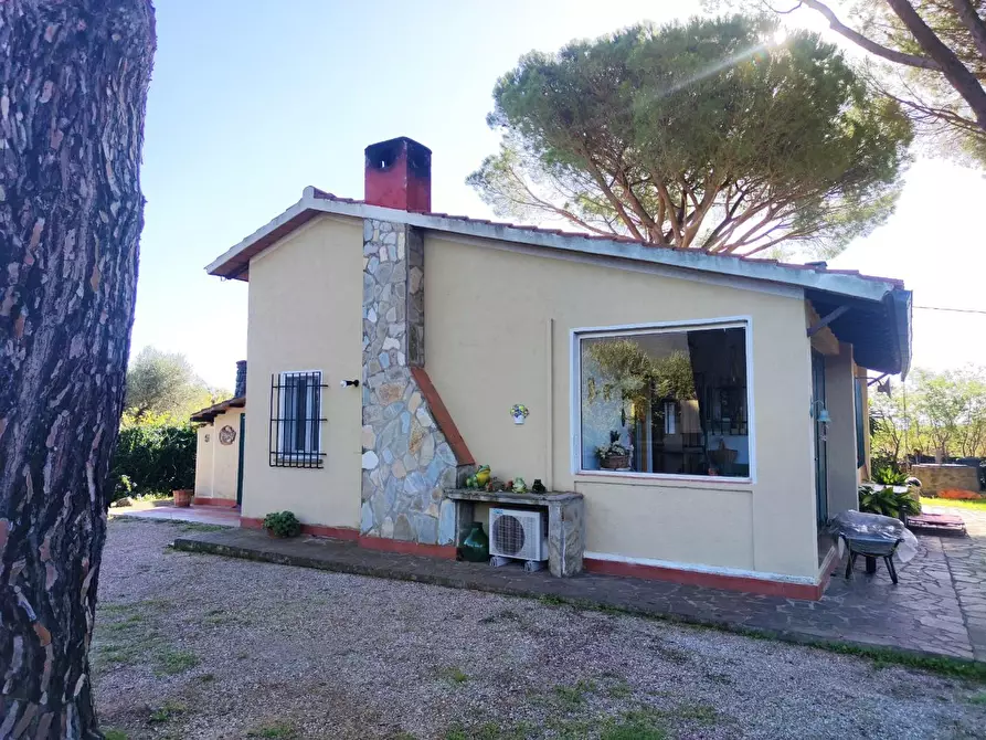 Immagine 3 di Villa in vendita  a Castiglione Della Pescaia