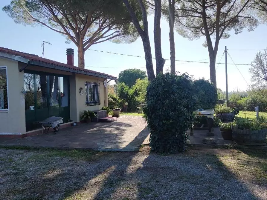 Immagine 2 di Villa in vendita  a Castiglione Della Pescaia