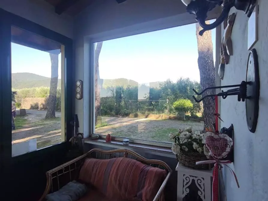 Immagine 5 di Villa in vendita  a Castiglione Della Pescaia