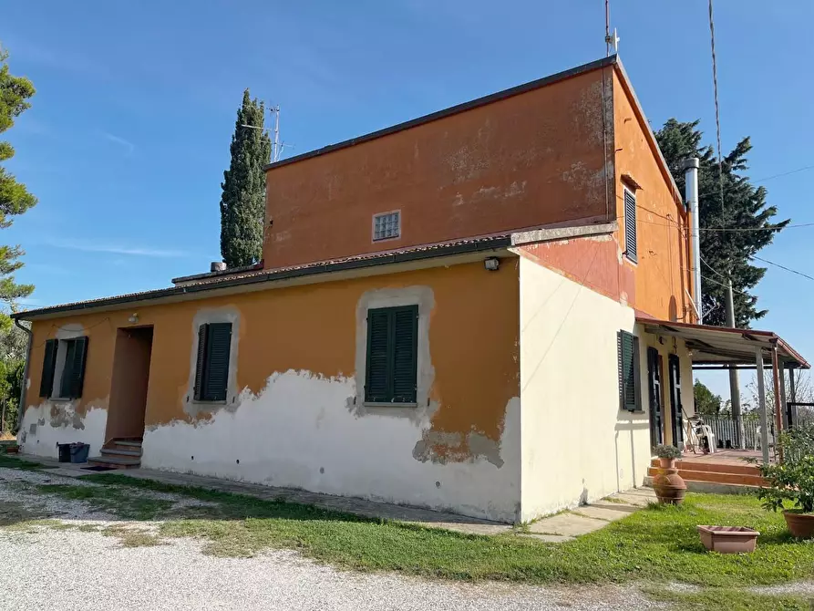 Immagine 1 di Casa colonica in vendita  a Palaia