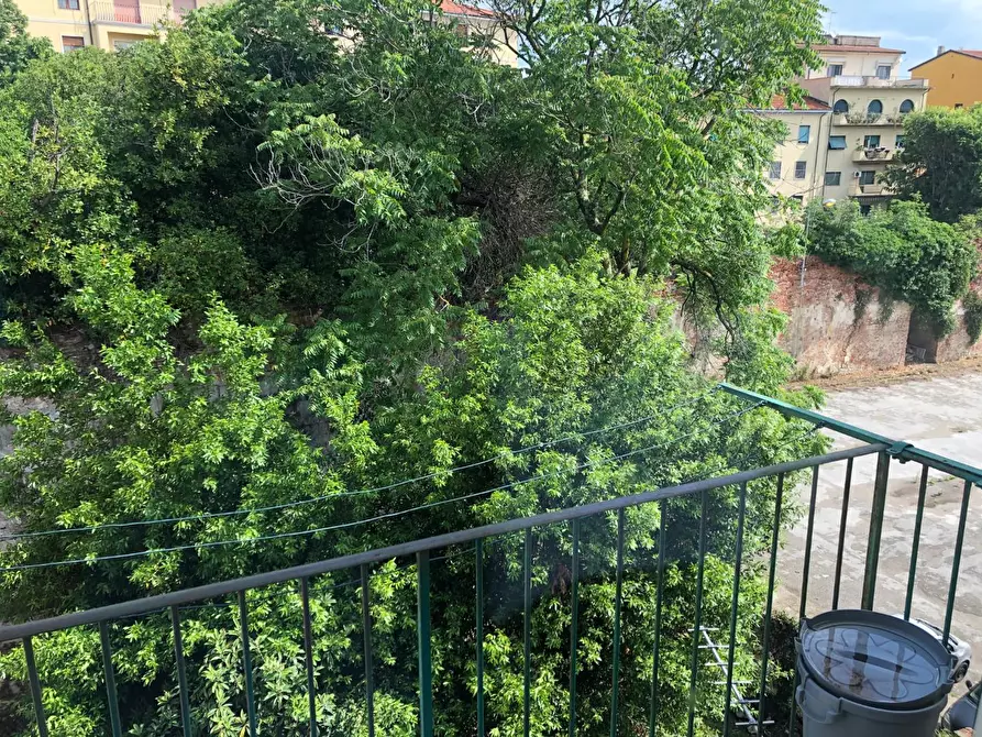 Immagine 7 di Appartamento in affitto  a Pisa
