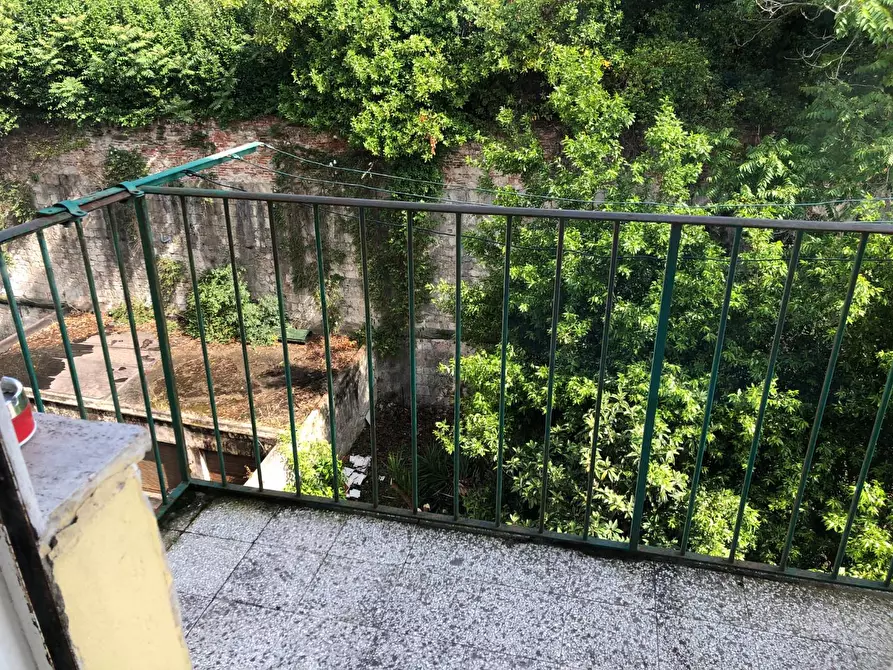 Immagine 8 di Appartamento in affitto  a Pisa