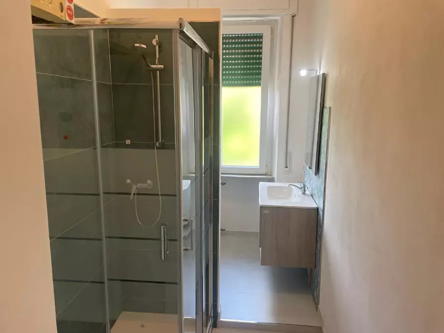 Immagine 21 di Appartamento in affitto  a Pisa