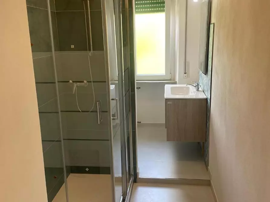 Immagine 16 di Appartamento in affitto  a Pisa