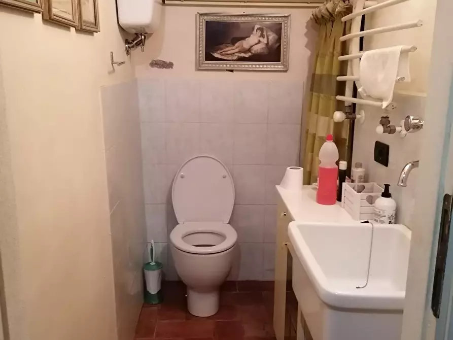 Immagine 41 di Terratetto in vendita  a Vicopisano