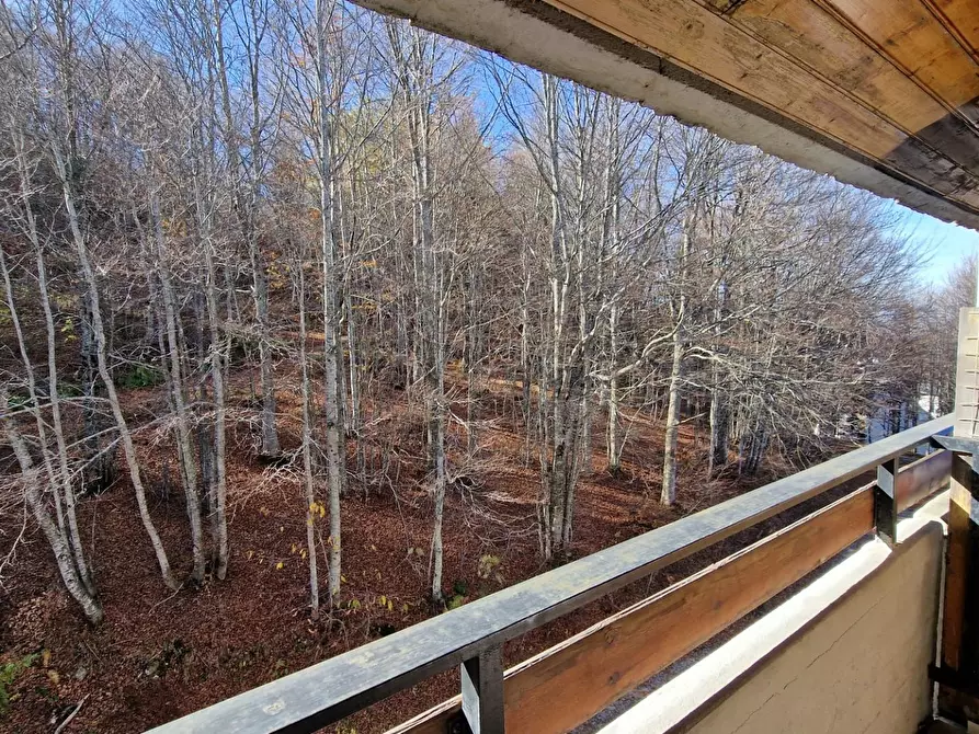 Immagine 21 di Appartamento in vendita  a Ventasso