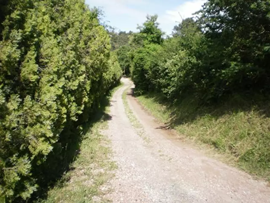 Immagine 10 di Villa in vendita  a Chianni