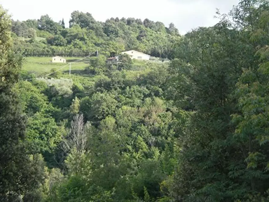 Immagine 12 di Villa in vendita  a Chianni