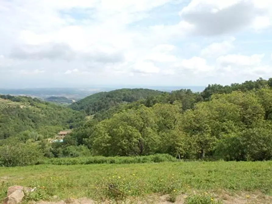 Immagine 11 di Villa in vendita  a Chianni