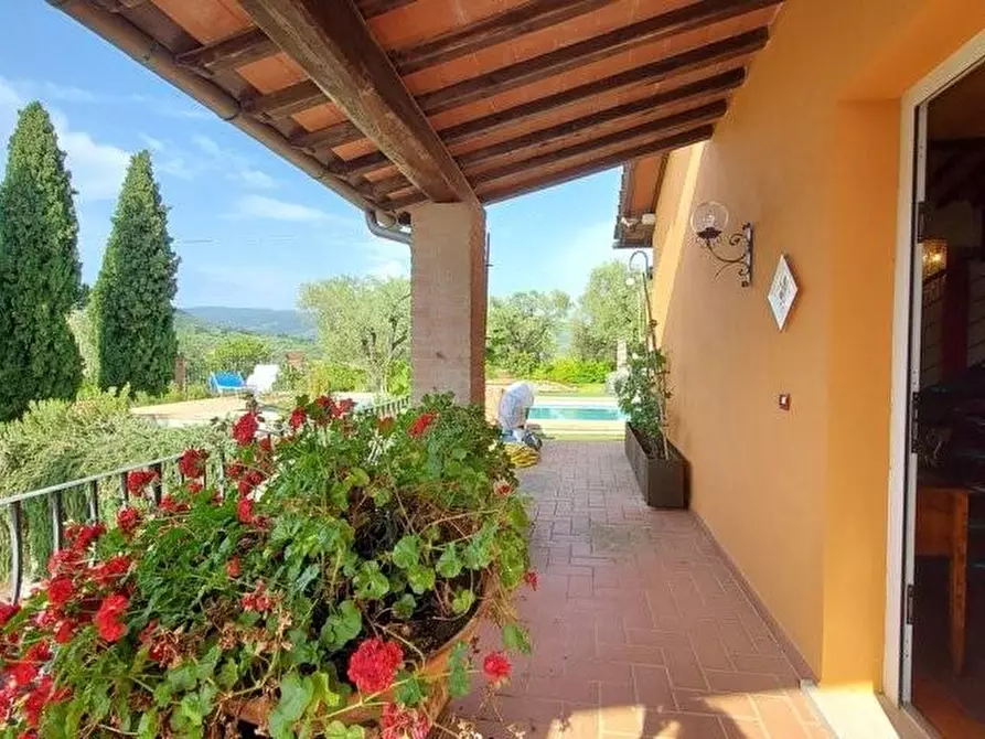 Immagine 30 di Casa colonica in vendita  a Capannori