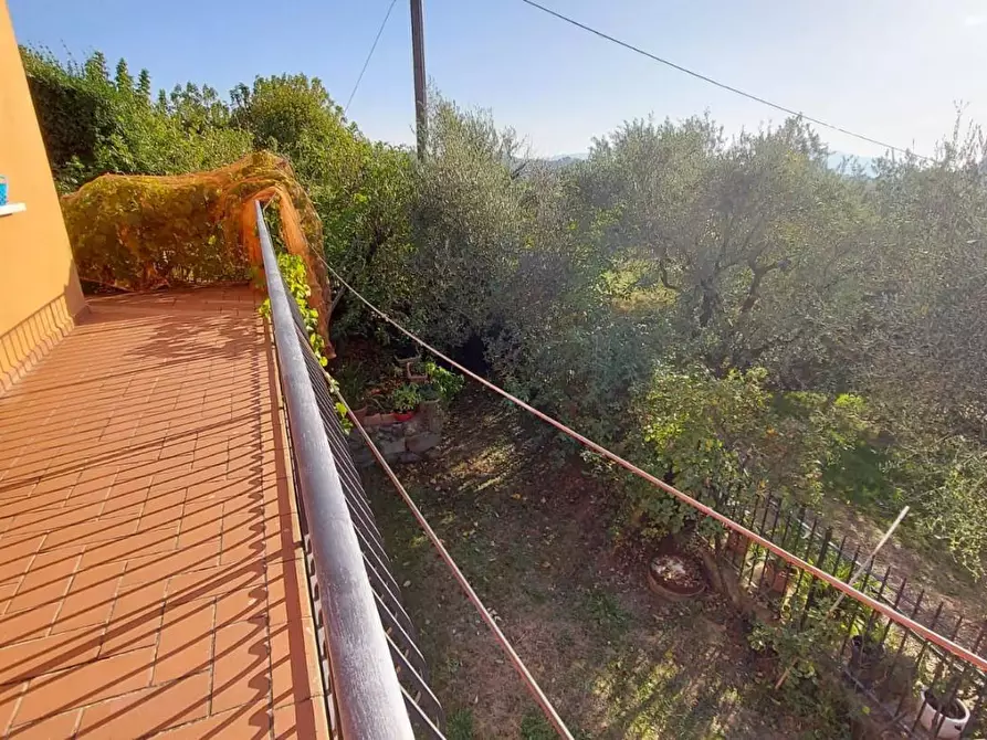 Immagine 40 di Casa colonica in vendita  a Capannori