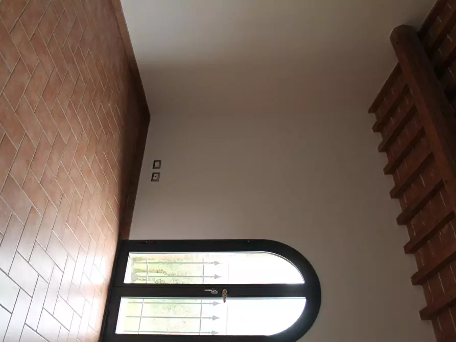 Immagine 14 di Casa colonica in vendita  a Vinci