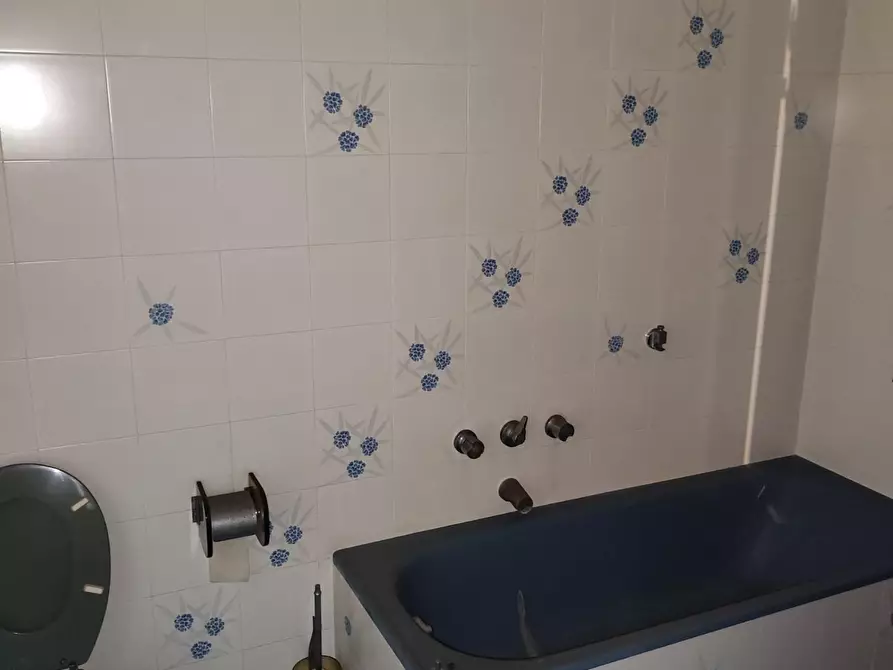 Immagine 19 di Casa colonica in vendita  a Peccioli