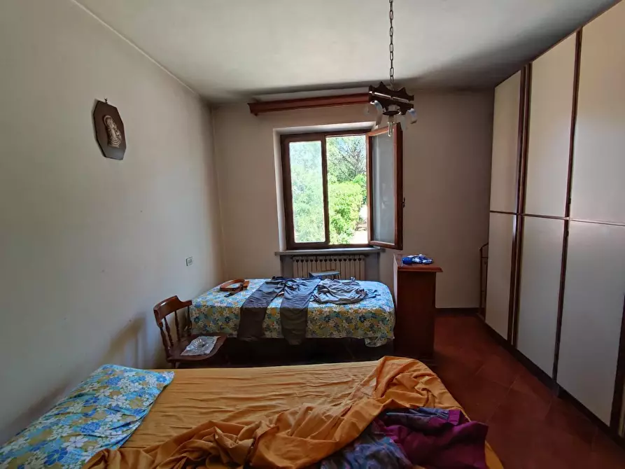 Immagine 15 di Casa colonica in vendita  a Peccioli
