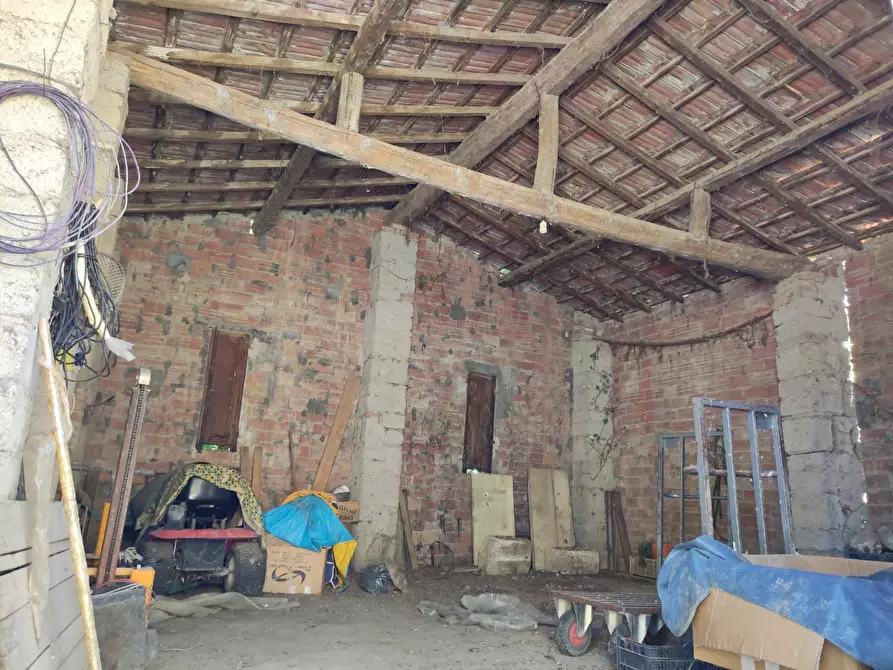 Immagine 7 di Casa colonica in vendita  a Peccioli