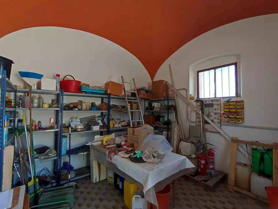 Immagine 5 di Casa colonica in vendita  a Peccioli