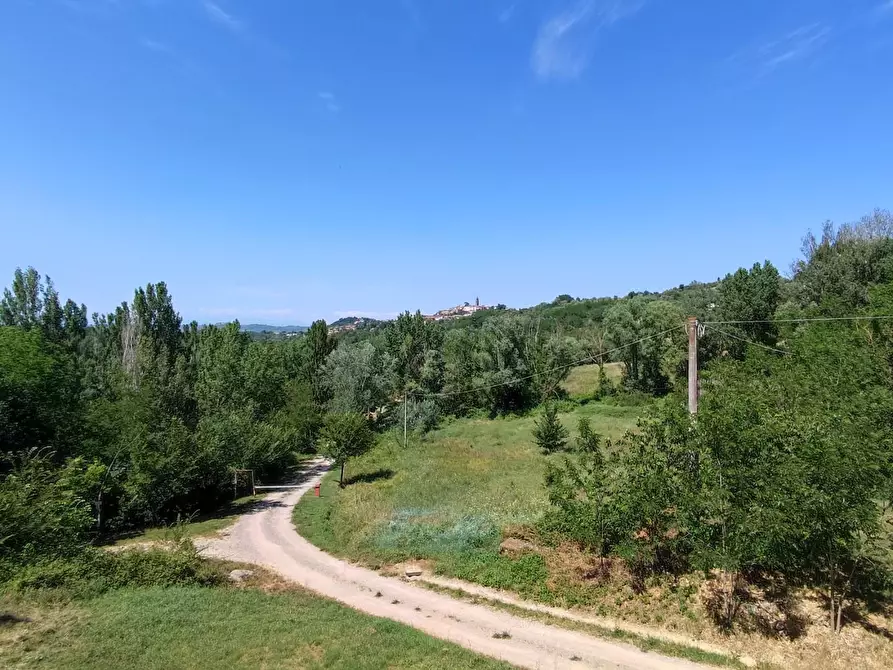 Immagine 1 di Casa colonica in vendita  a Peccioli