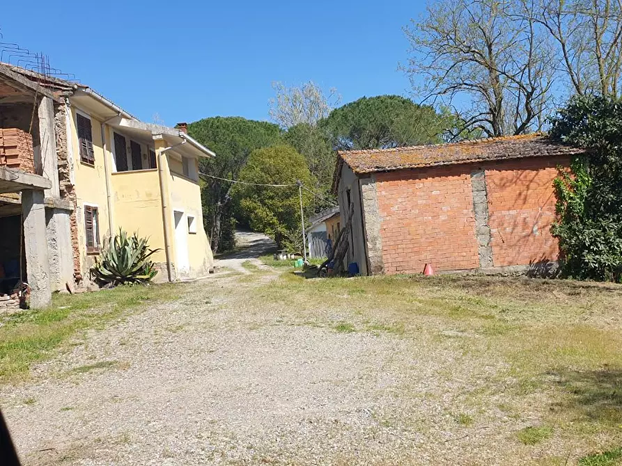 Immagine 6 di Casa colonica in vendita  a Peccioli