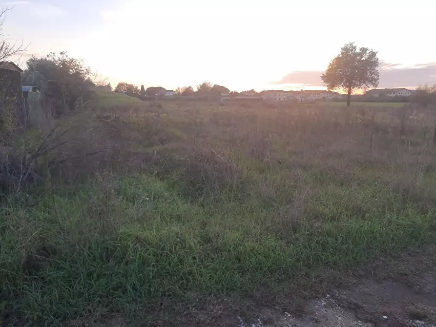 Immagine 3 di Terreno agricolo in vendita  a San Giuliano Terme
