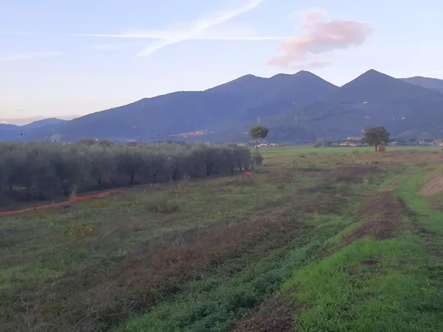 Immagine 2 di Terreno agricolo in vendita  a San Giuliano Terme