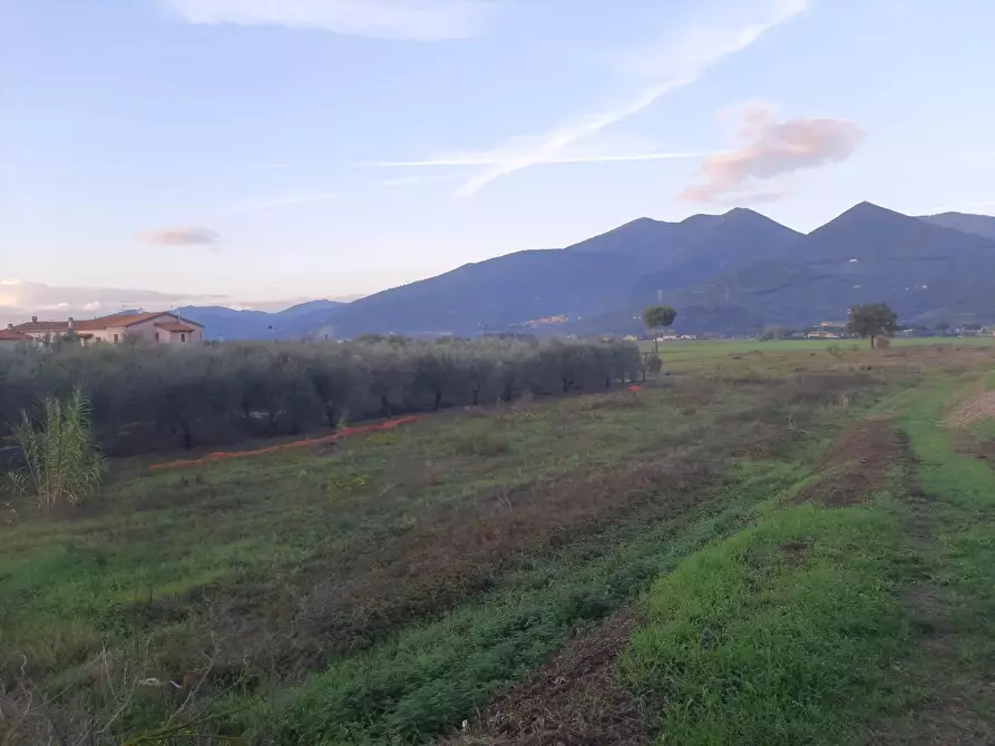 Immagine 1 di Terreno agricolo in vendita  a San Giuliano Terme