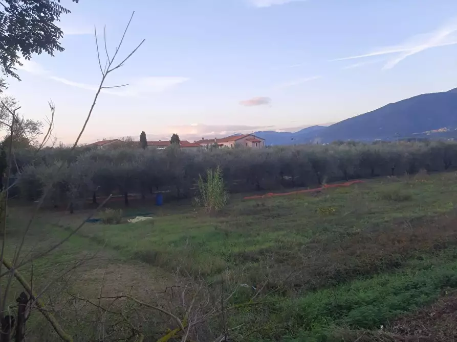 Immagine 4 di Terreno agricolo in vendita  a San Giuliano Terme