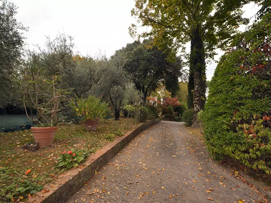 Immagine 41 di Villa in vendita  a Lucca