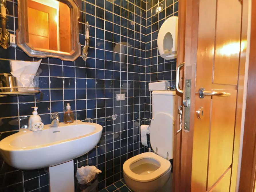 Immagine 7 di Villa in vendita  a Lucca