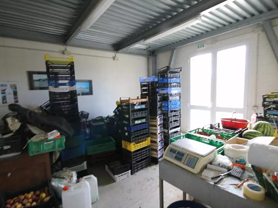 Immagine 9 di Attività artigianale in vendita  a Capannori