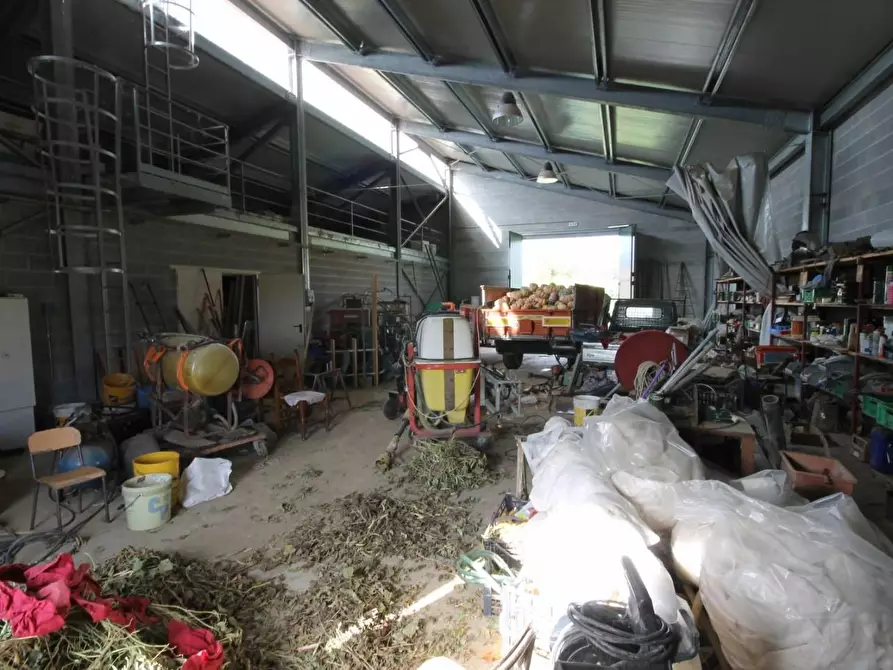 Immagine 7 di Attività artigianale in vendita  a Capannori