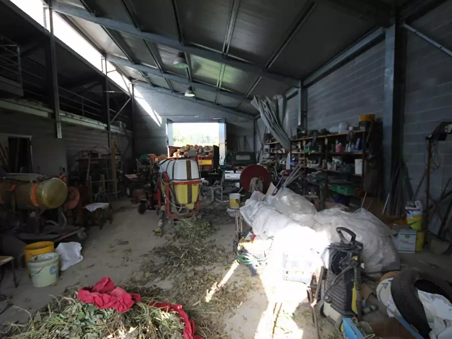 Immagine 6 di Attività artigianale in vendita  a Capannori