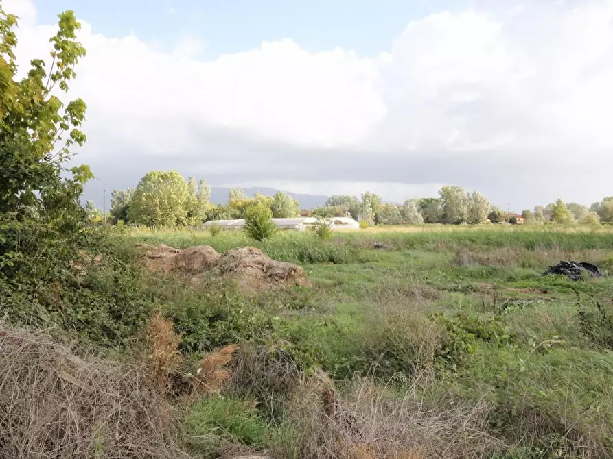 Immagine 3 di Attività artigianale in vendita  a Capannori