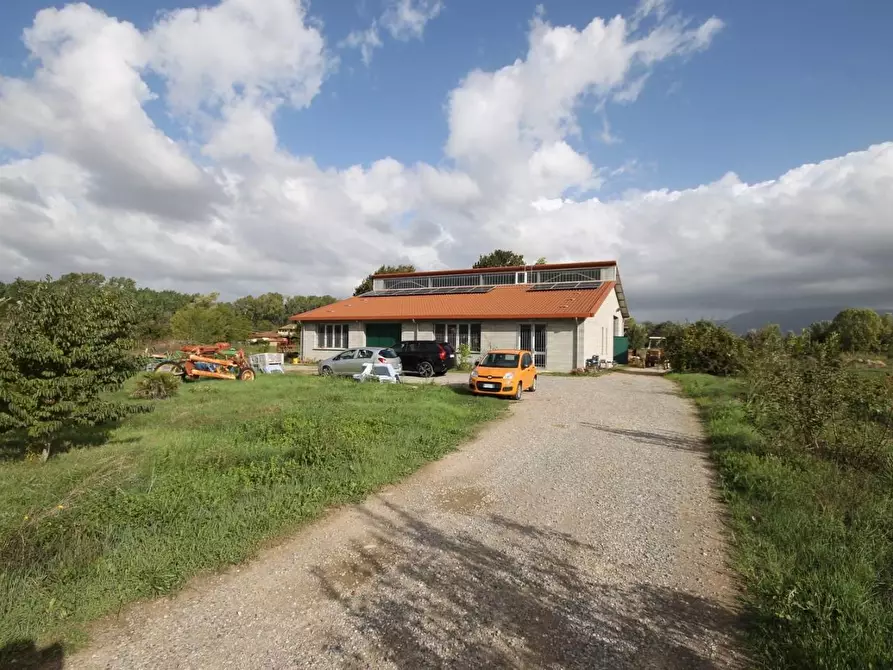 Immagine 2 di Attività artigianale in vendita  a Capannori