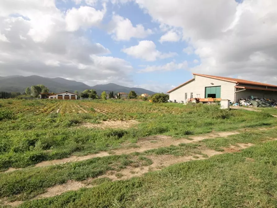 Immagine 5 di Attività artigianale in vendita  a Capannori