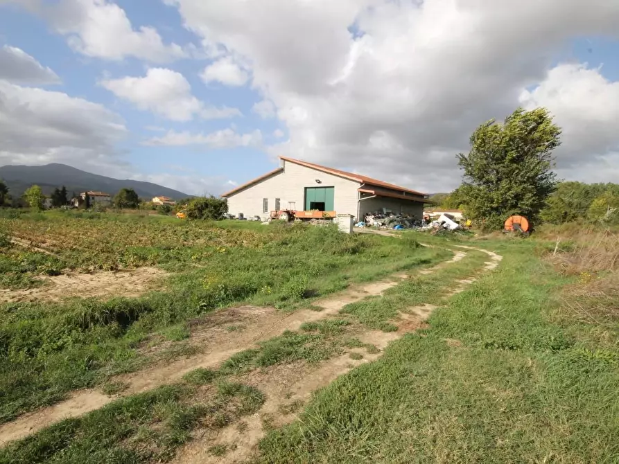 Immagine 4 di Attività artigianale in vendita  a Capannori