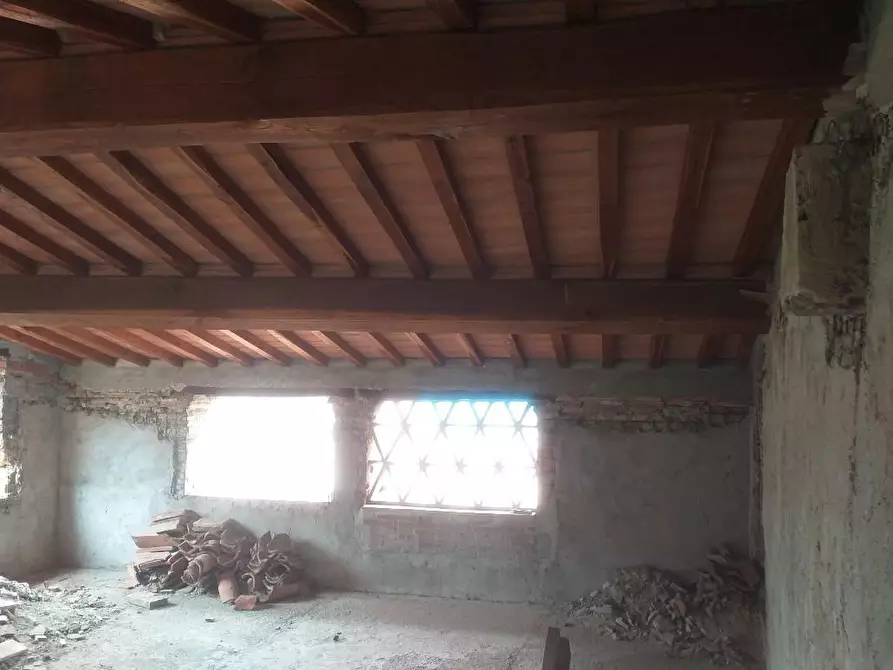 Immagine 8 di Rustico / casale in vendita  a Calci