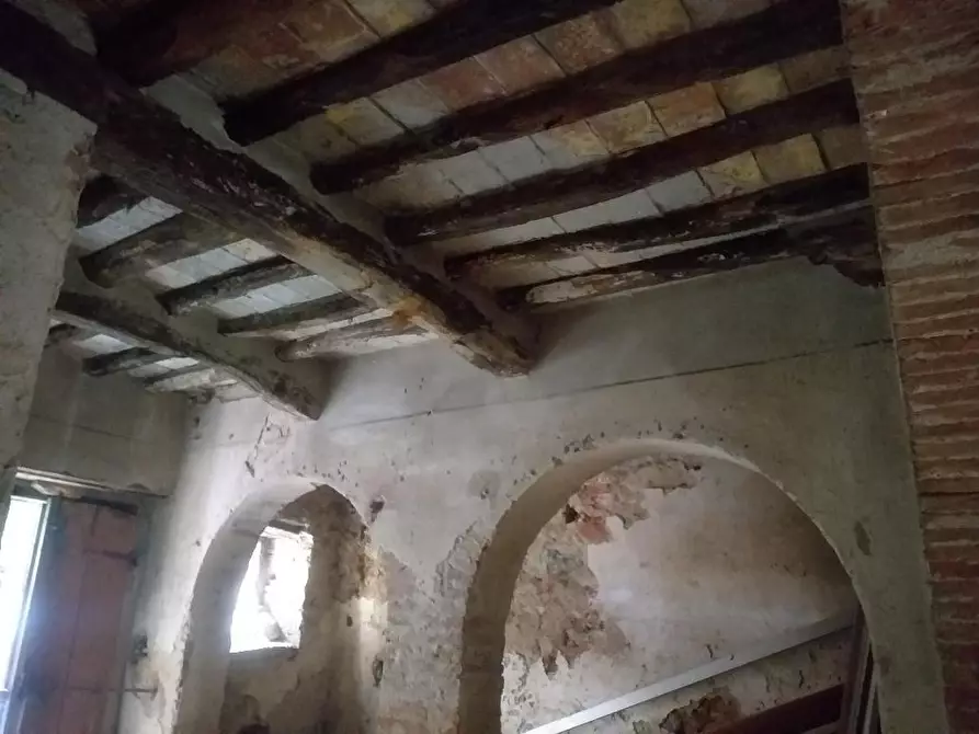 Immagine 3 di Rustico / casale in vendita  a Calci