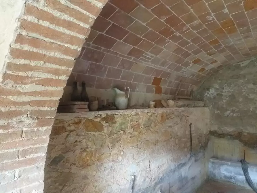 Immagine 11 di Rustico / casale in vendita  a Calci