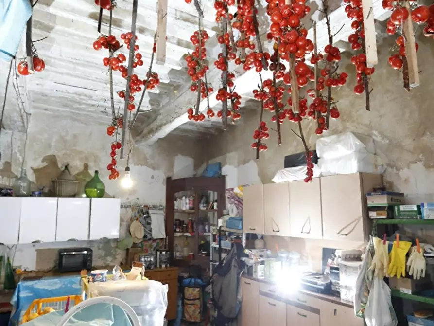 Immagine 13 di Casa colonica in vendita  a Collesalvetti