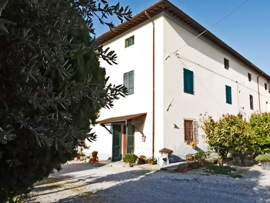 Immagine 3 di Casa colonica in vendita  a Collesalvetti